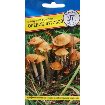 Mycelium Open "Lugovoi", 12 sticks