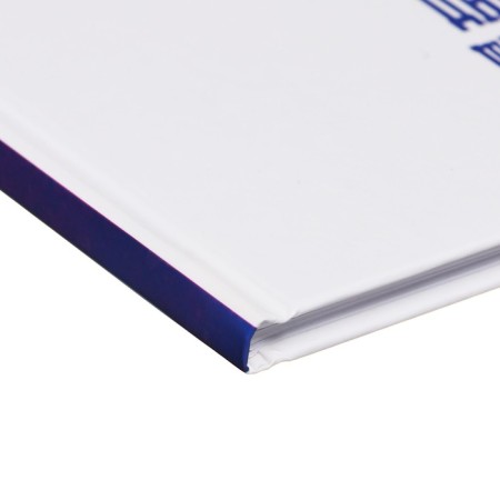 Diary Solid Cover 1-11 grade 48 sheets, Raven, Cardboard 7BC cover, matte lamination, selective UV-LK, cheat sheet-3