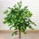 Artificial tree "plumeri" 90 cm