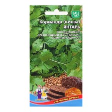 Coriander seeds 