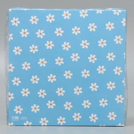 Cookie box, confectionery packaging with PVC lid, “for the best educator”, 21 x 21 x 3 cm-4