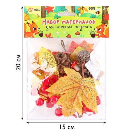 Set for creativity "Materials for autumn crafts. Leaves, cones "-1