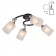 Ceiling chandelier Citilux "Sierra" CL119241, 41x30x18.5 cm, 4x75W, E27, Black Color Black