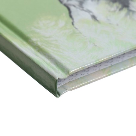 Notebook of 105 x 140 mm, 64 sheets "Lions", solid cover, glossy lamination-2