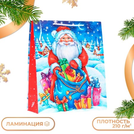Gift package "Gift bag", 26 x 32 x 12 cm