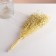 Set of dried flowers "Monetnik", banch length 60 (+/- 6 cm), bleached