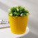 Pot for flowers with the Podon "Rotan", 3 l, yellow color