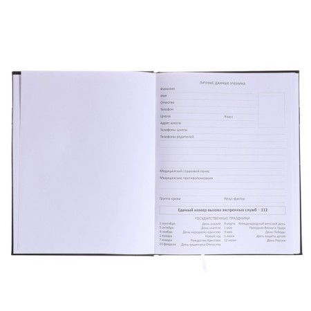 Universal diary for grade 1-11 Compass, solid cover, artificial leather, silk-screen printing, lies, 80 g/m2-3