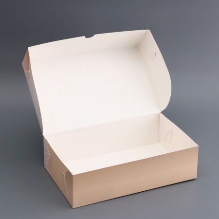 Gift Box Folding without a window, packaging, "Gift to you", 25 x 15 x 7 cm-2