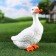 Garden figure "Goose" 23x14x30cm ////