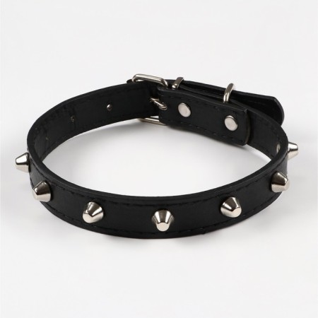 A collar with blurted spikes, 45 x 2 cm, mix of flowers-6