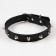 A collar with blurted spikes, 45 x 2 cm, mix of flowers