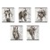 Notebook of 48 sheets in the Erichkrause Wild Horse cage, cover coated cardboard, offset block, mix