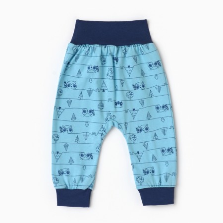 Children's sliders "Antoshka", blue/raccoon color, height 62-3