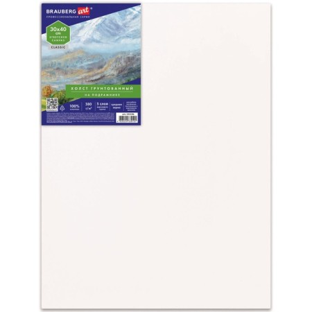 Canvas on a subframe 30 x 40 cm, 380 g/m2, primed, 100% cotton, Brauberg Art (192196)