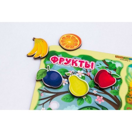 Sorter "What is the difference?" Fruits-vegetables ", on Velcro-5