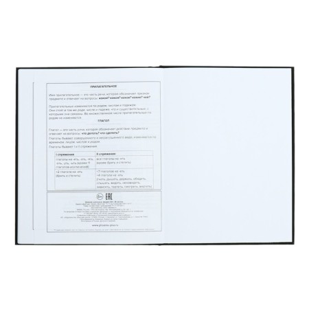 School diary for grades 1-11, 48 sheets "Main", solid cover, "software", universal cheat sheet, block 65g/m2-12