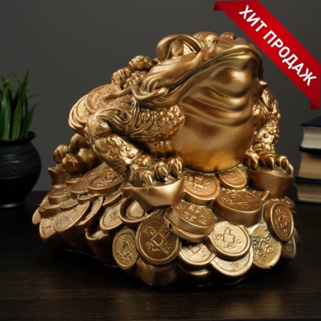 Piggy bank "Frog on coins" 25x35cm