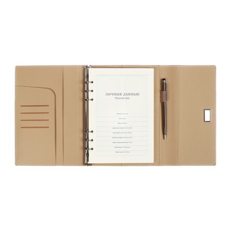 Organizer on the rings A5, 100l, line, K/deputy, with a pen, in gift. box., Gray-4