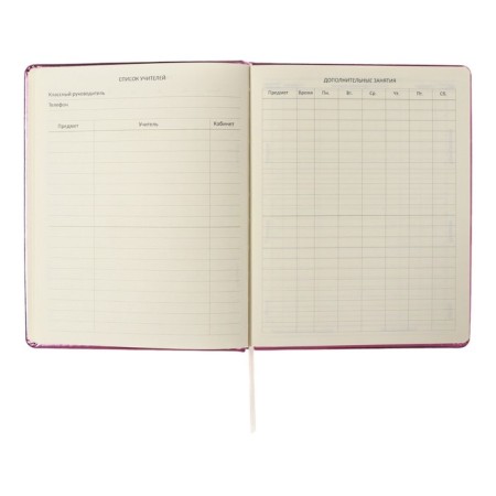 Universal diary for grade 1-11 Smart Thoughts, hard cover, artificial leather, foam rubber, silkography, lies, 80 g/m2-5