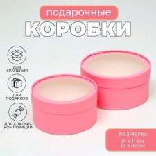 Box - tube 2 in 1, with a transparent lid 