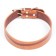 A collar with a lining of pressed leather, 59 x 3 cm, Osh 41-51 cm, brown