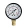 Manometer Zein, radial, body diameter 50 mm, 6 bar, 1/4 "