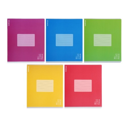 Notebook of 12 sheets in the Erichkrause "fineline" line, matte lamination, cover of coated cardboard, offset unit, mix