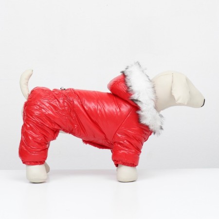 Kombinson "Gloss", size M (DS 30, OG 40, Osh 30 cm, up to 8 kg), red-1