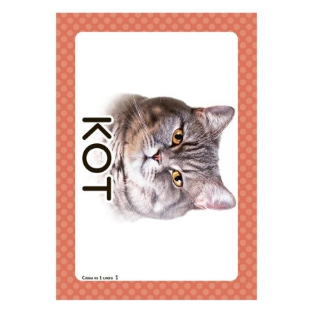 Speech therapy cards. We launch speech. Words from 1 syllable. 34 cards. Osmanova G.A.-2