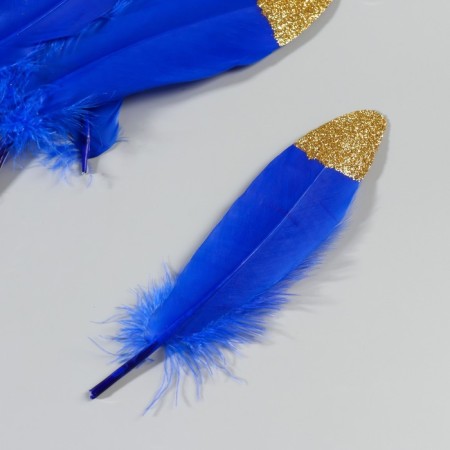 A set of goose feathers is 15-20 cm, 10 pcs, blue with a golden crumb-2