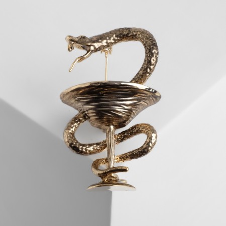 Brooch "Snake in Heraldic" medicine, color black gold
