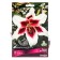 Lilies from hybrids Altari, 14/16 rr, 2 pcs. 115 h (cm), autumn 2024