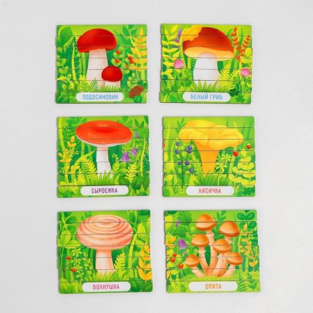 Puzzle tanks "Mushrooms"-1