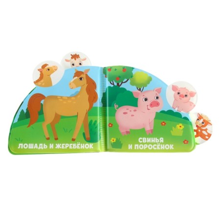 The book is a toy for the bath "Who is my mother?", With windows, I crush me-7