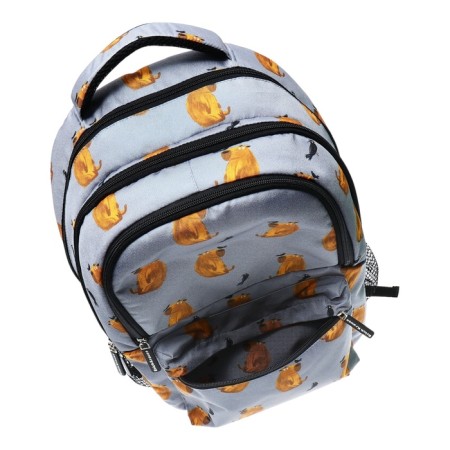 Youth backpack 42 x 27 x 19 cm, Erich Krause ActiveLine Ergoback 22l, Capybara-7