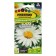 Flower seeds Nyvynik "Silver Princess", DV, 0.1 g