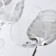 Set of glasses for the wine Strix, glass, 600 ml, 6 pcs
