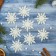 Christmas tree decoration "Polar Snowflake" (set 6 pcs) D-6 cm, white