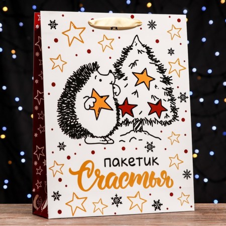 Laminated vertical "bag of happiness", 33 x 42 x 10 cm-2