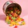 Monpensier "Bears", Caramel Lollice in a tin bank, 140 g