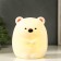 Nightmare "Bear Pukhlik" LED from 3xlr44 batteries 10x9.5x13 cm Risalux