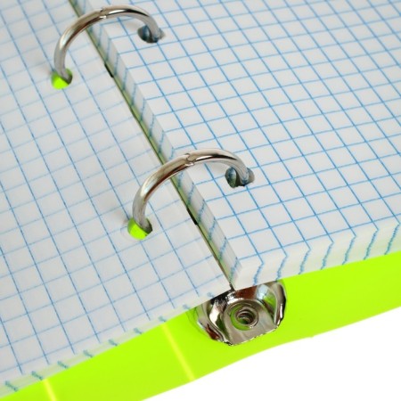 Notebook on rings A5 80 sheets in Calligrata cage, salad, plastic cover, offset unit-6