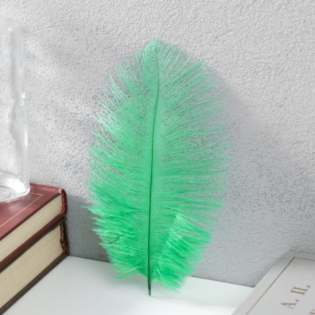 Feather of ostrich 15-20 cm, green
