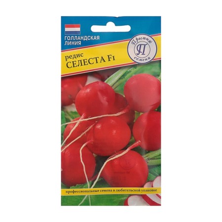 Seeds Radis "Celesta" F1, 1 g
