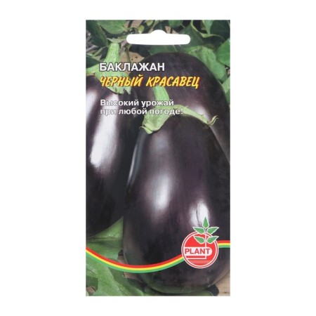 Eggplant seeds "Black handsome" Plant mid -season, compact, without bitterness
