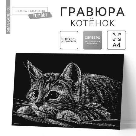 Engraving "kitten" with a metallic effect "silver" A4
