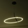 Lamp with DDD "Holly" LED 48W 3000-6000K black and gold 60x60x22 cm