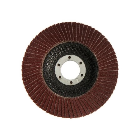Circle of petal conical scrap, 115 x 22 mm, p100-2