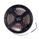 ARTE LAMP Tape 24V 20W/m, 6000K, 5 m